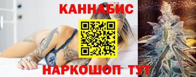 шишки Камышлов