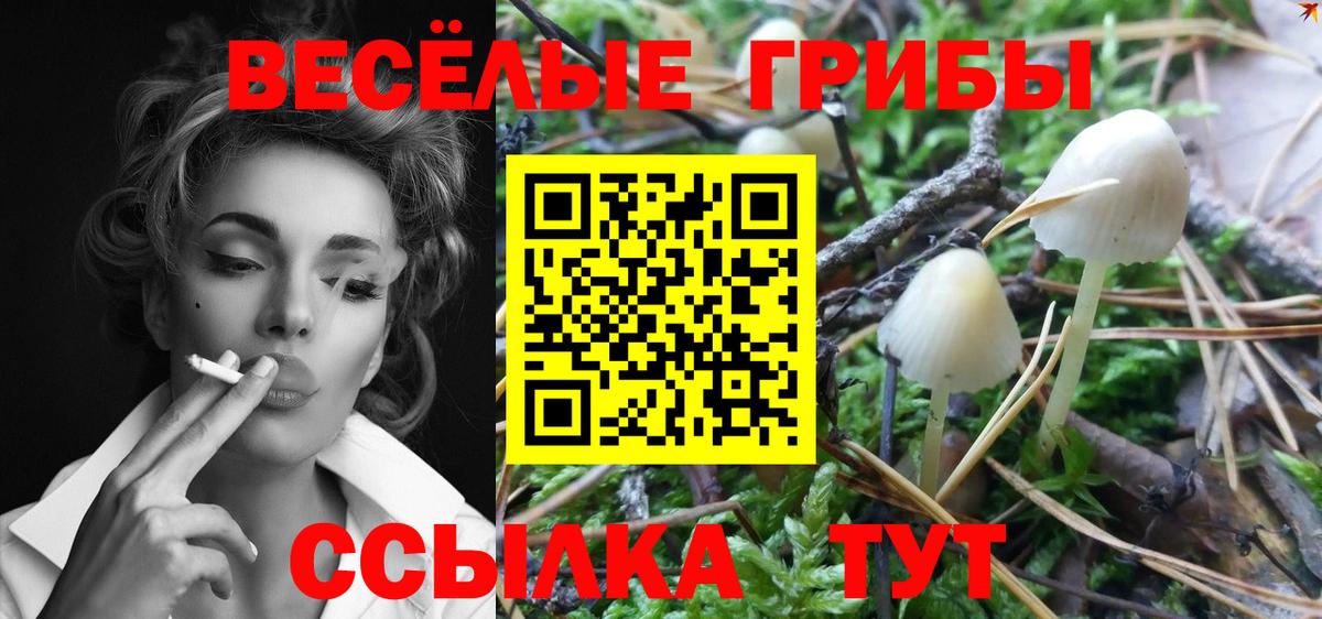 Галлюциногенные грибы Cubensis Кувандык